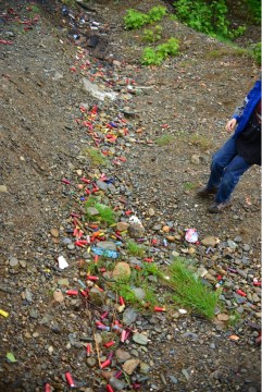 Lead pollution at a local shooting pit