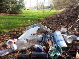 Sunny Day is Monroe, WA 3-2016