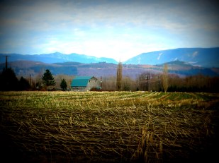 Old barn farther back, Chris Chendrickson 2-2016