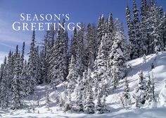 seasons-greatings