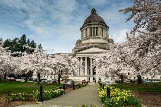 WA Capitol in spring