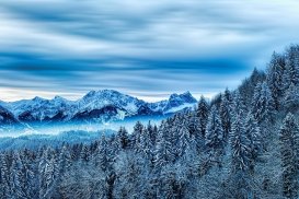 Winter Forest Mountains pixabay.com